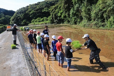 taue3