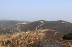 野焼き終了後の川内峠の写真