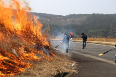 火入れする地域住民の写真