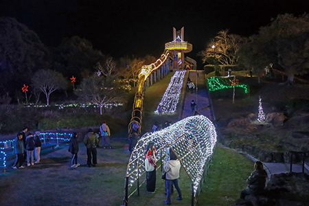 田平公園光のフェスタ2024の写真