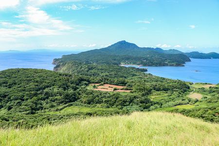 上段の野の風景