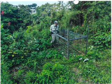 集落に出没するイノシシの捕獲のため、箱わなを設置する猟友会所属の捕獲従事者(宝亀地区)