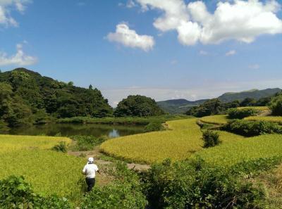 中山間地域等直接支払交付金