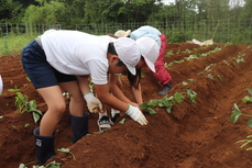 力を合わせてさします