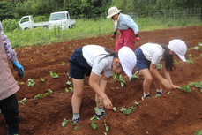 学んだことを生かしてさします