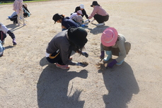 運動場も草むしりをしました