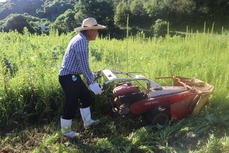 モアを使いました