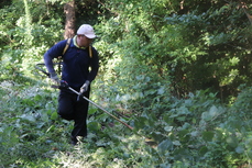 裏庭も刈りました