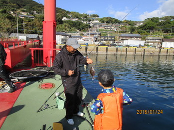 アラカブもつれました