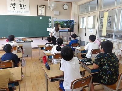 yakushima1