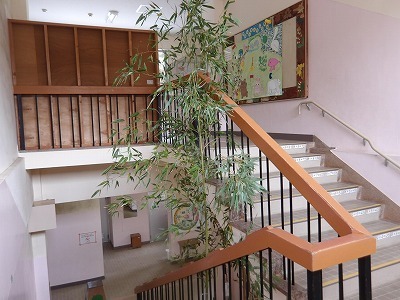 sasa1