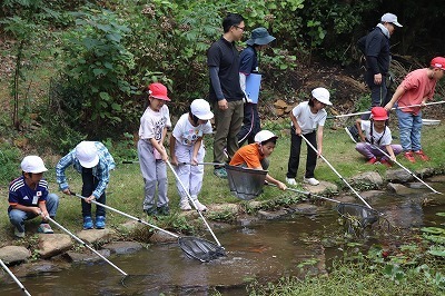 kontyu4