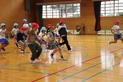 koryu8