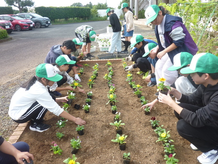 花いっぱい運動
